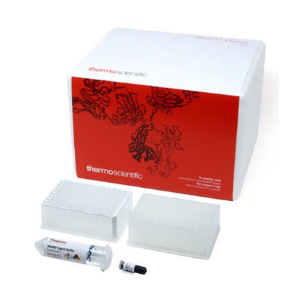 Thermo Scientific™ Kits de RNase SMART Digest™