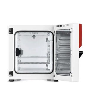 BINDER™ Série BD Avantgarde.Line : Incubateur standard à convection naturelle