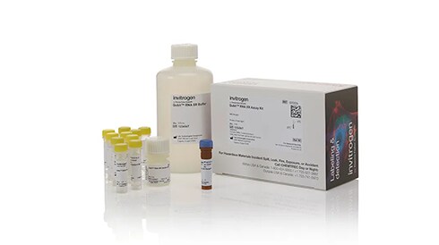 Nucleic Acid Labeling and Detection Kits