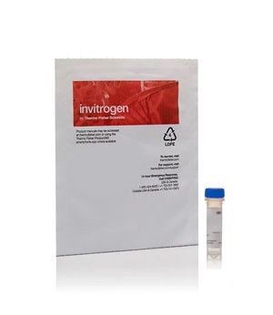 Colorants des acides nucléiques cyanine monomérique Invitrogen™