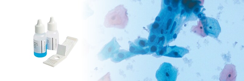 Cytology products