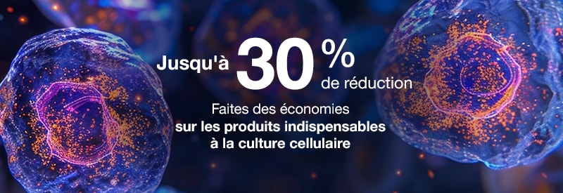 Promo
