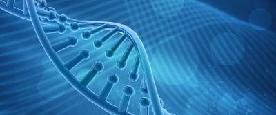 25629_Brand_C4_P1_Doc12