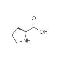 Proline