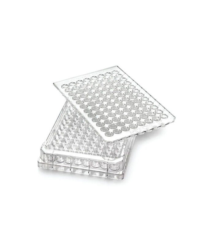 Filtering Microplates
