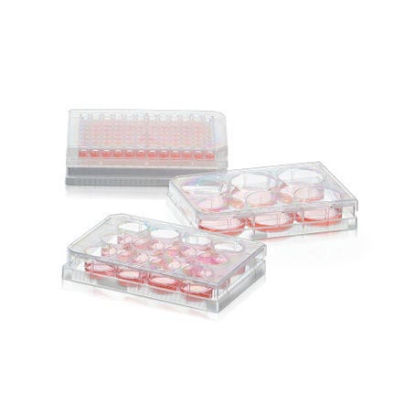 Plaque 96 puits Thermo Scientific™, surface à faible adhérence Sphera