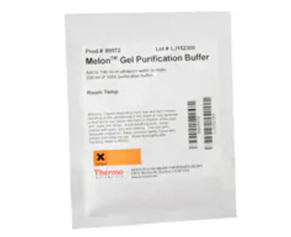 Antibody Production and Purification