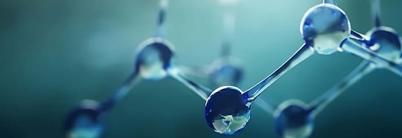 Molecular Biology Methods