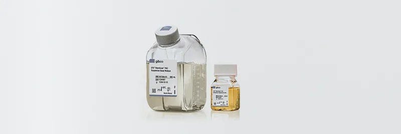 Produits pour les cellules souches, les neurosciences et la thérapie cellulaire