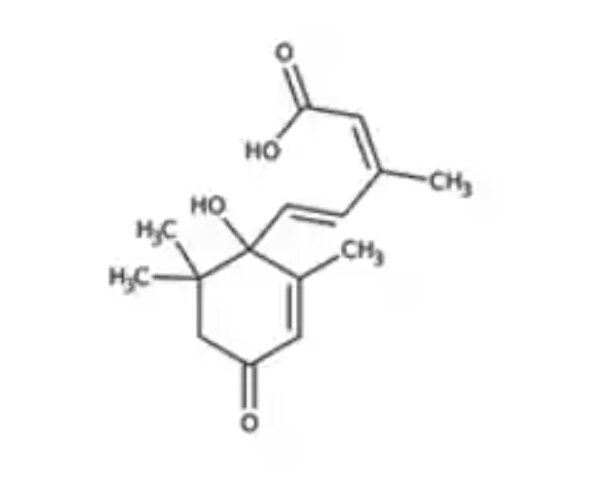 Lipides et dérivés lipidiques