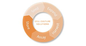 Cell Culture Applications
