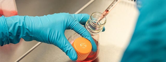 Tests biochimiques et cellulaires