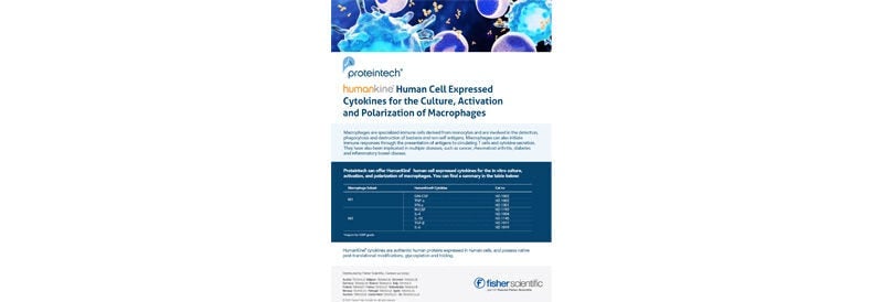 Cytokines pour l'activation et la polarisation des macrophages