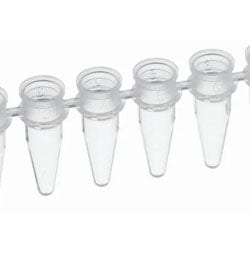PCR Tubes