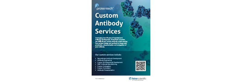 Custom Antibody Services