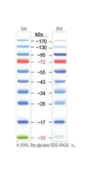 25348_Merch_P1_Product