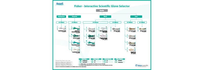 Sélecteur interactif de gants