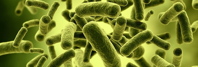 Environmental Monitoring