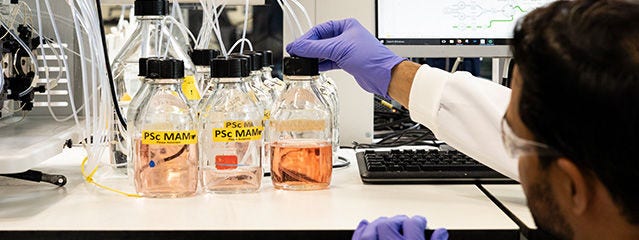 Protéines et lignées cellulaires