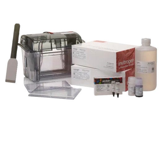 25341_Merch_P2_Product3