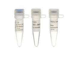 Thermo Scientific™ Phire Hot Start II PCR Master Mix