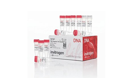 PCR Cloning Kits