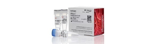Invitrogen™ DNase I, qualité amplification