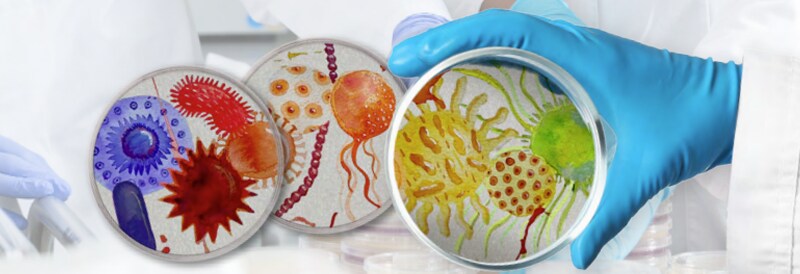 100 years of Microbiology Excellence