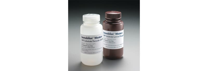 Merck Immobilon™ Western Chemiluminescent HRP Substrate (ECL)