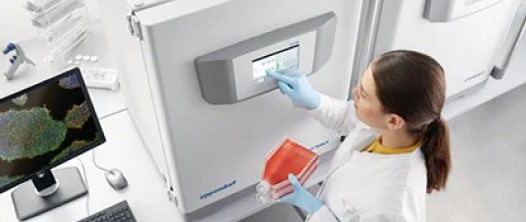 Eppendorf cold storage