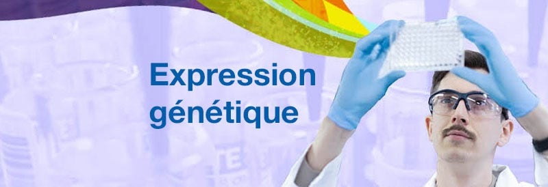 Expression génétique