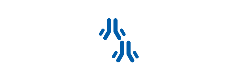Immunoprécipitation (IP) / Immunoprécipitation de la chromatine (ChIP)