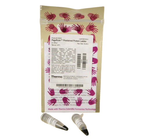 25359_Merch_P2_Product1