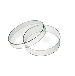 Vented Plates for Better Handling