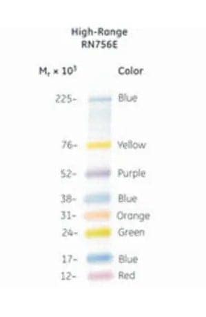 25348_Merch_P2_Product3