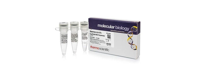 Thermo Scientific™ EquiPhi29™ DNA Polymerase