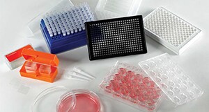 Cell Culture Assay
