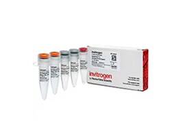 One-Step Reverse Transcription PCR Reagents