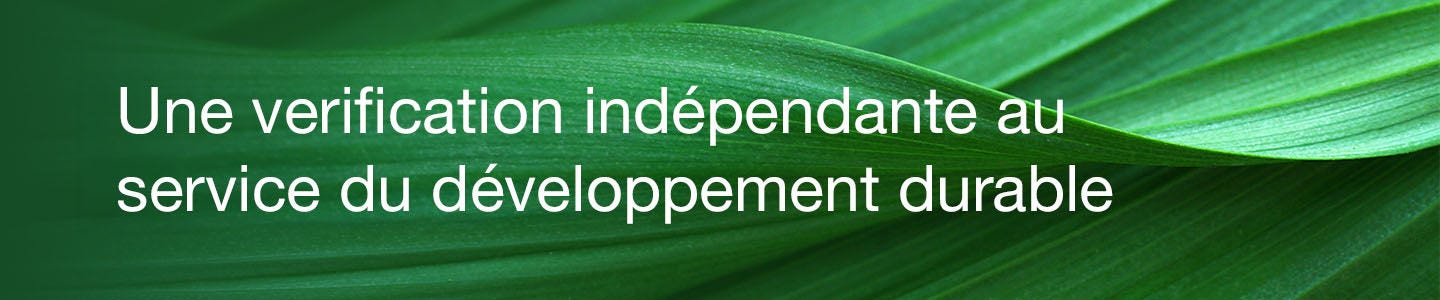Greener Choice Banner