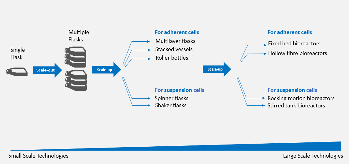 Systèmes de mise à l’échelle des cultures de cellules adhérentes et de cellules de suspension