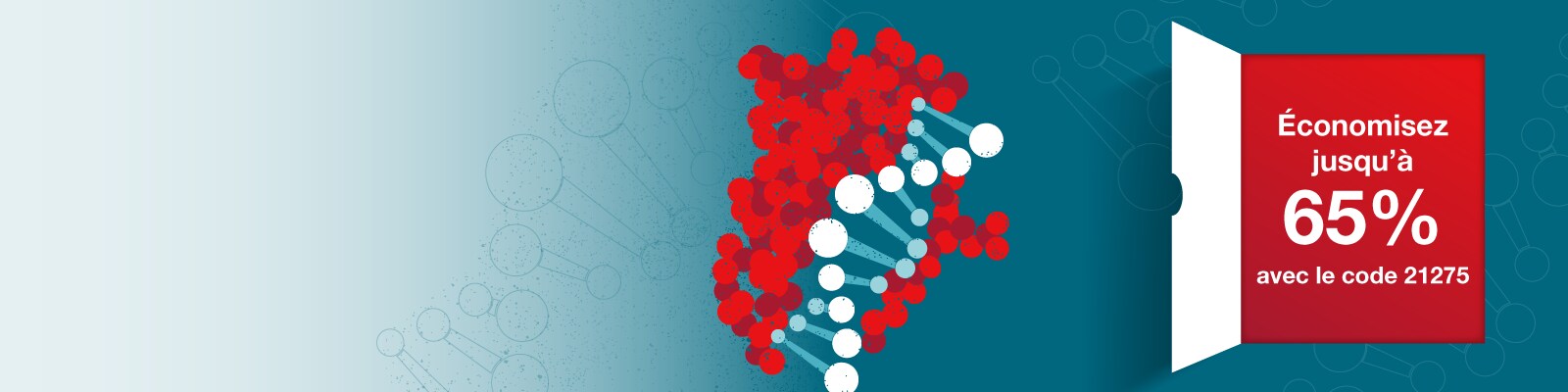 Bannière Protéine p53