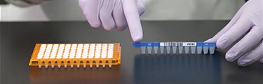 Vidéo : Apprendre à choisir une plaque PCR