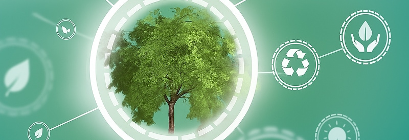 Ce que vous devez savoir sur la recyclabilité