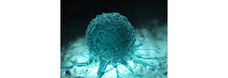 Des “avatars de tumeurs” pourraient aider à identifier des traitements efficaces contre le cancer