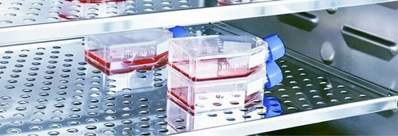 Les nombreux domaines dans lesquels les chambres à CO2 montrent leurs atouts