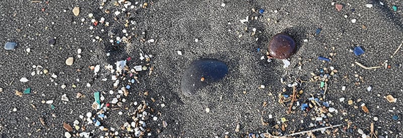 Microplastiques : enquête sur les risques et compréhension des données probantes