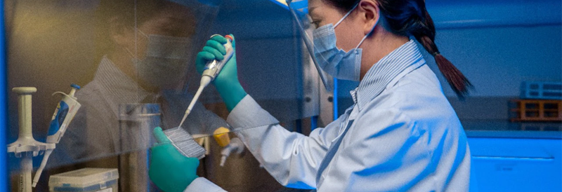 Quel est l'effet sur les gants d'une désinfection à l'alcool ? 