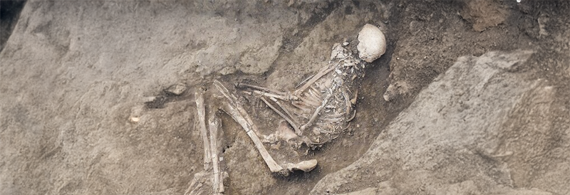 Les protéines antivirales ancestrales peuvent protéger contre les infections