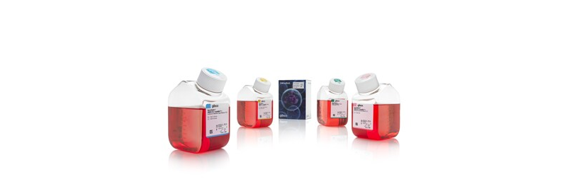 Milieux de culture cellulaire Gibco™ BenchStable™ : Réduire les besoins de stockage au froid des laboratoires pour passer à l'écologie