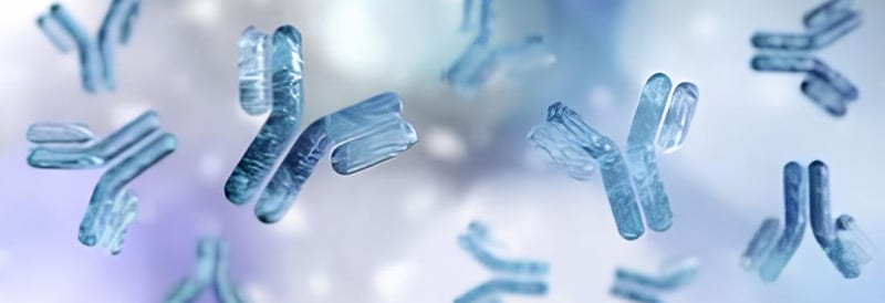 La montée en puissance des anticorps monoclonaux en tant que médicaments vedettes